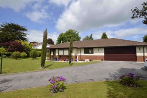 Photo 1- click for photo gallery